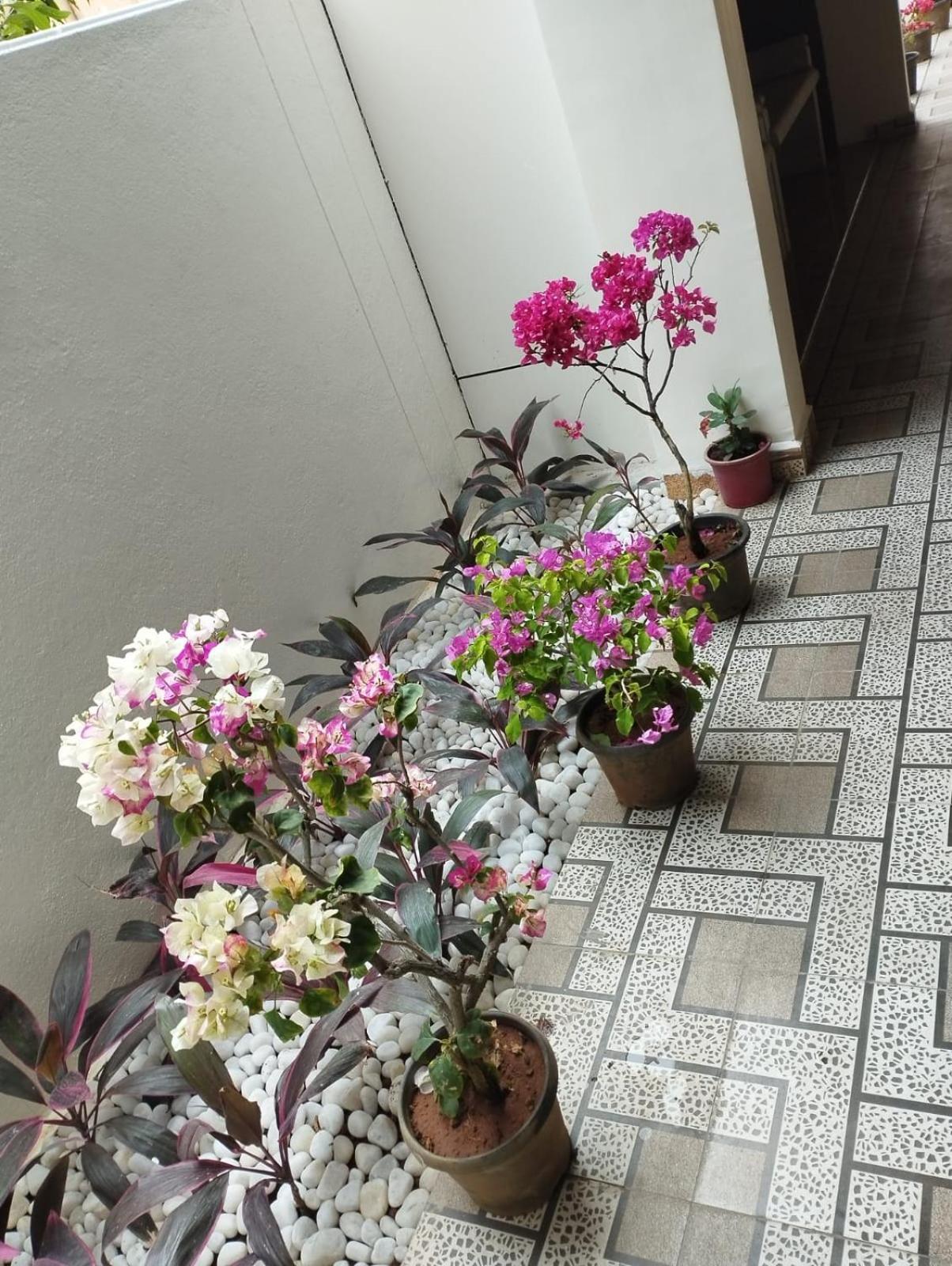 Annai Residency Hotell Vellore Exteriör bild