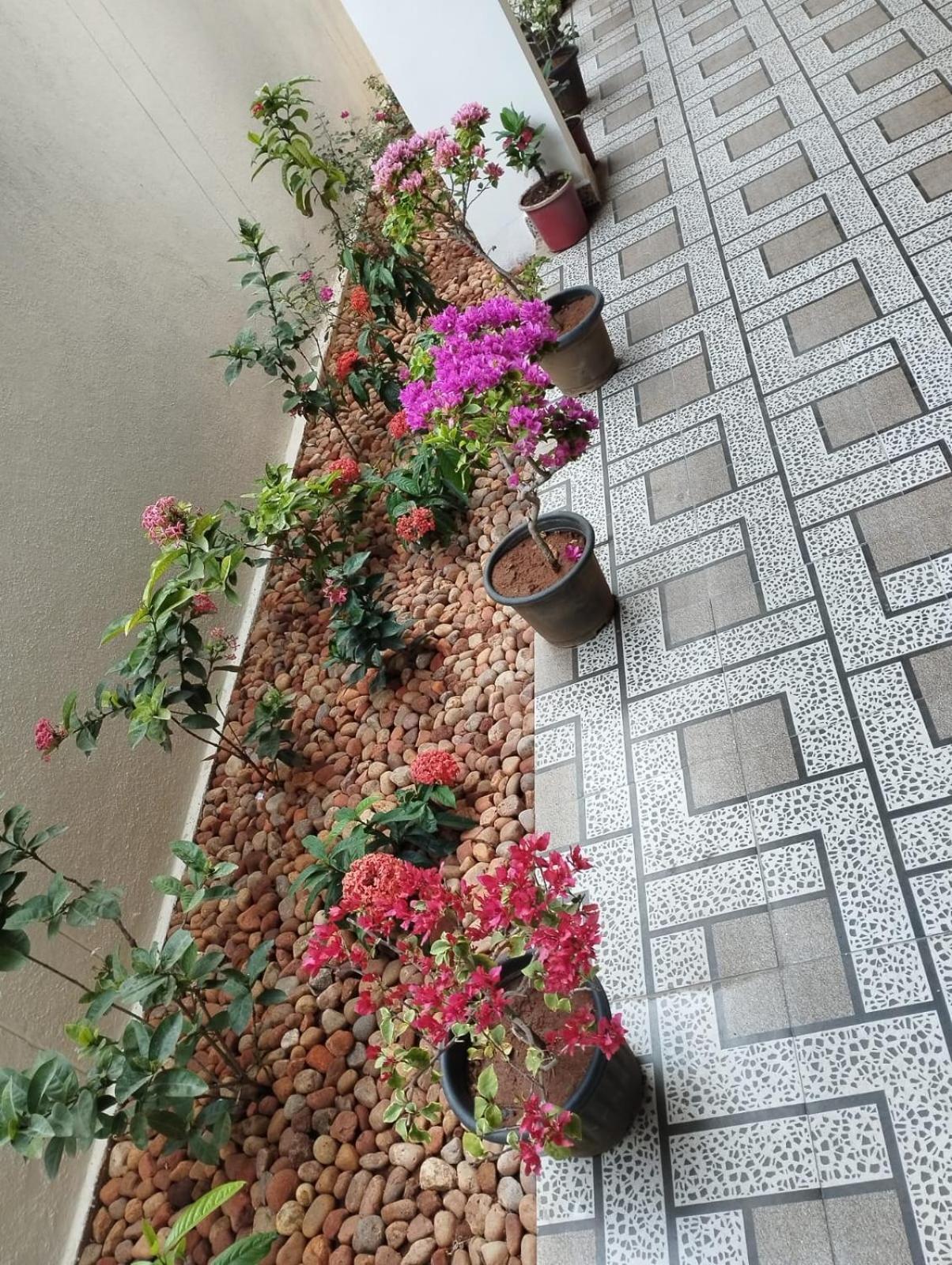 Annai Residency Hotell Vellore Exteriör bild